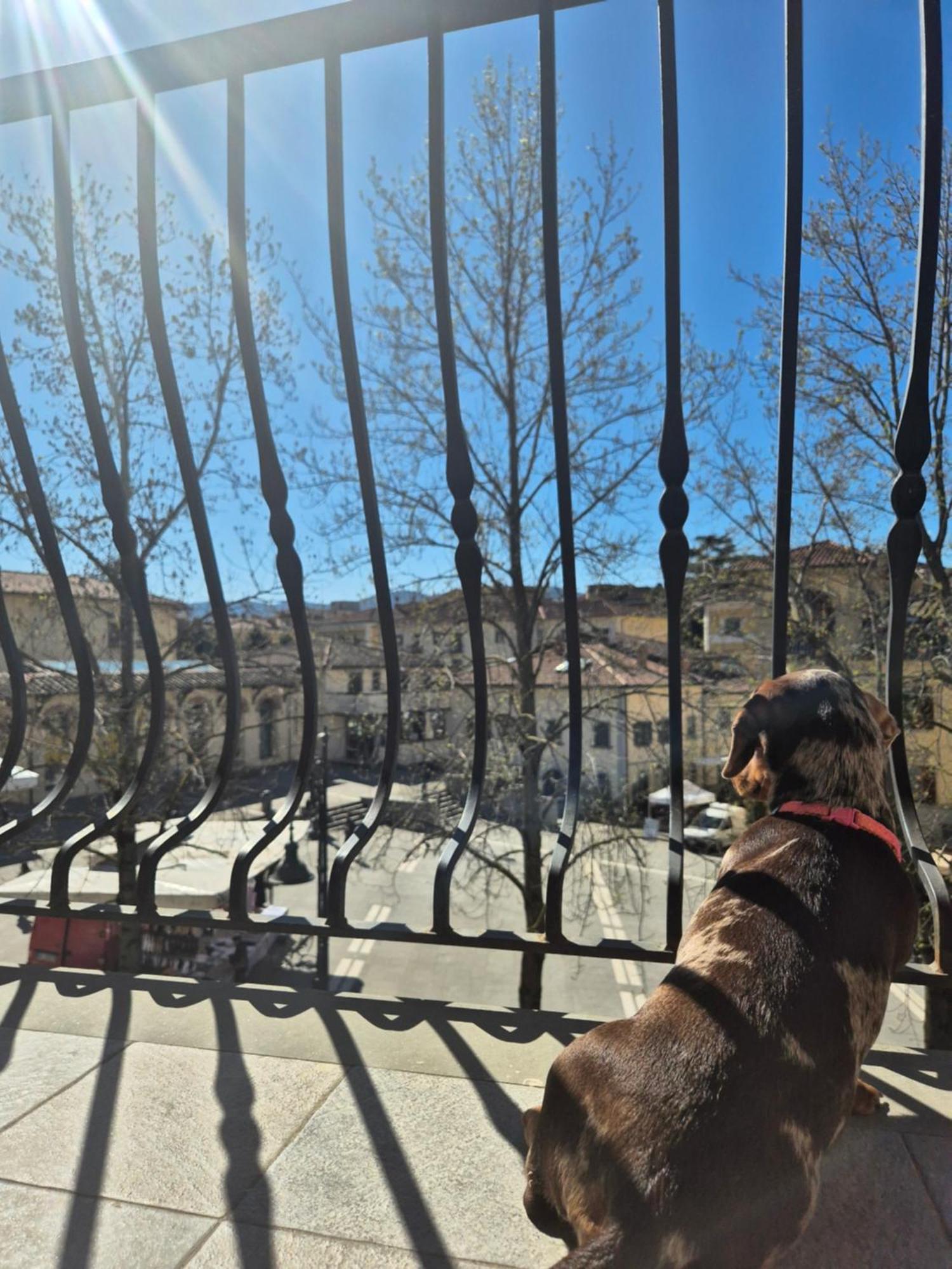 La Finestra D'Arezzo Appartement Buitenkant foto